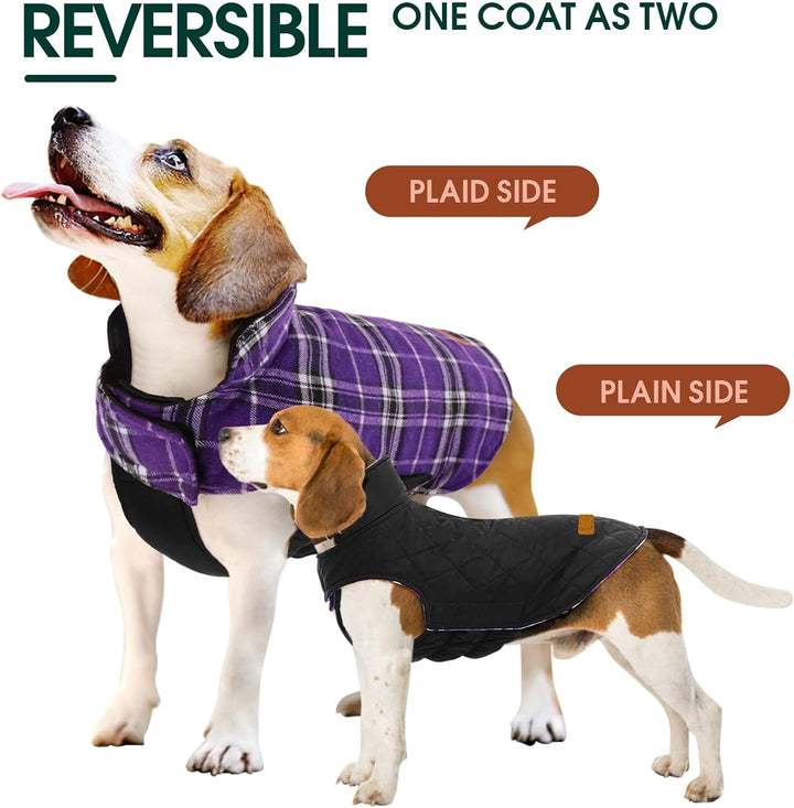 Pet apparel: cozy reversible waterproof dog jacket, British style, red and black.