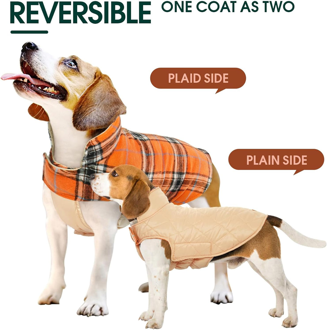 Outdoor dog gear: waterproof winter pet coat, British style, warm and reversible.