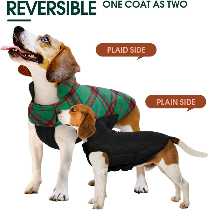 Cozy waterproof dog jacket in British style, adjustable fit, winter pet apparel.