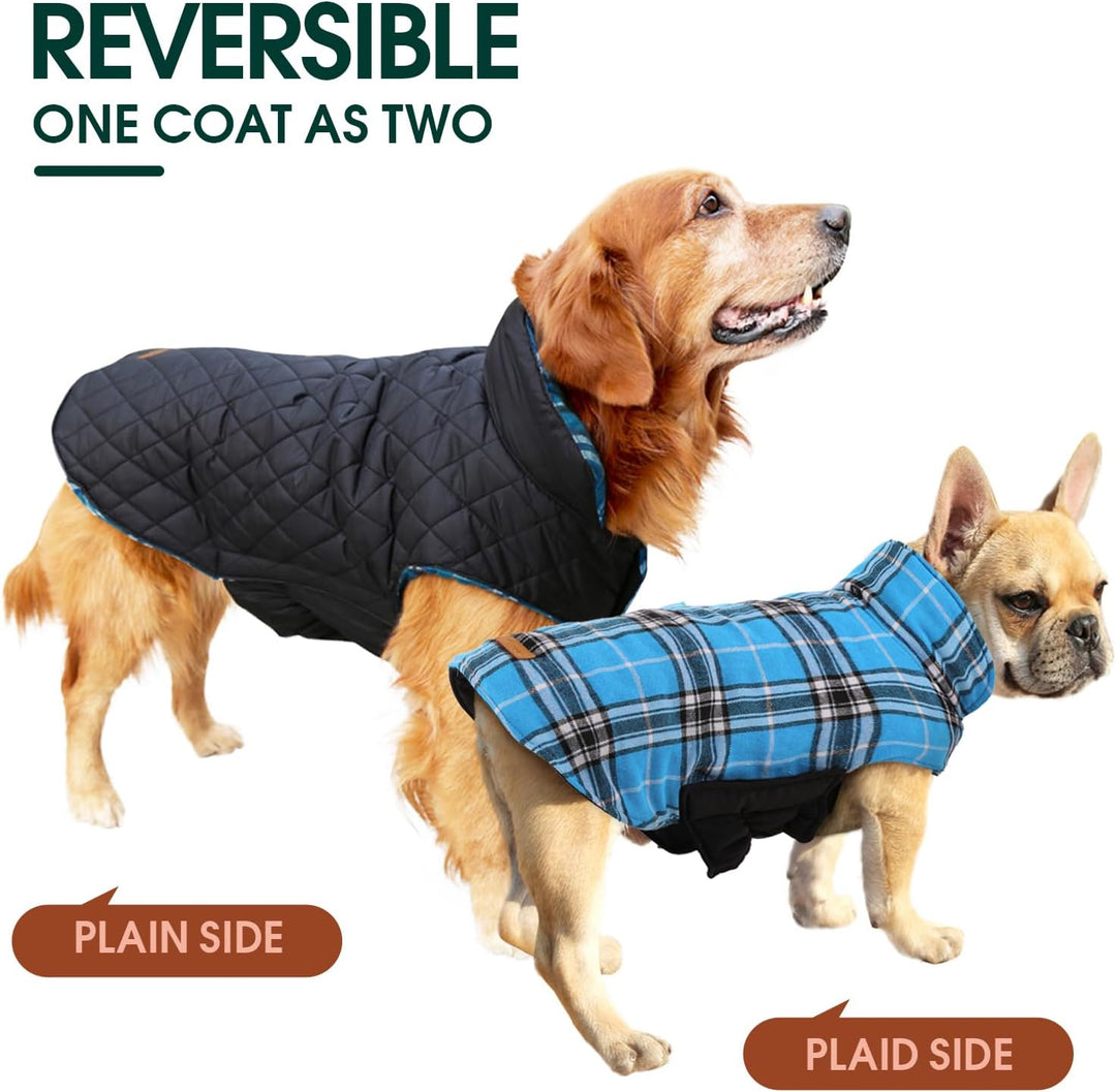 British style reversible waterproof dog jacket, warm pet clothes for cold weather.