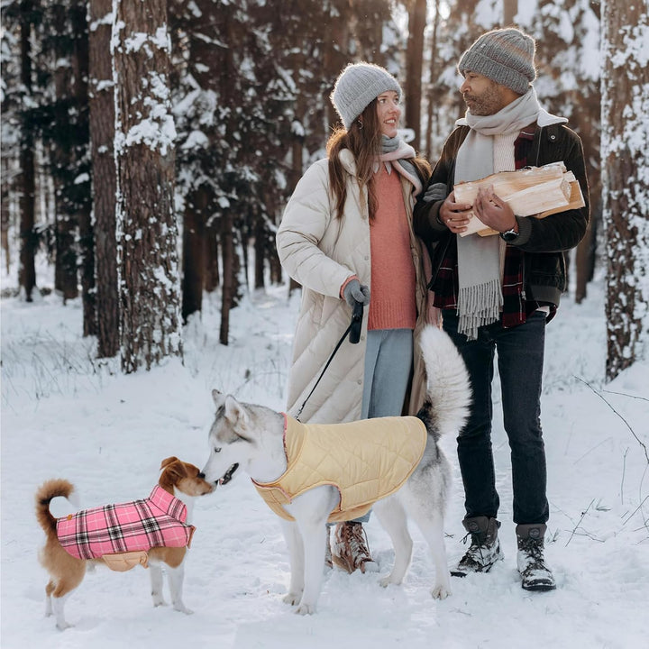 Pet winter coat: reversible waterproof dog jacket, British style, red plaid pattern.