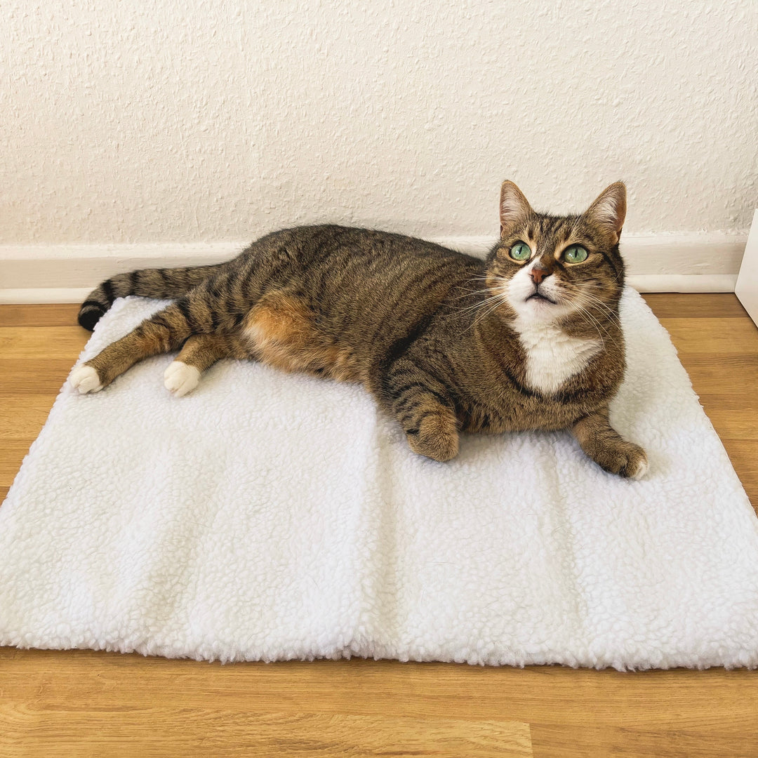 Cozy self-heating cat mat for ultimate feline warmth. No electricity needed, perfect for winter comfort.