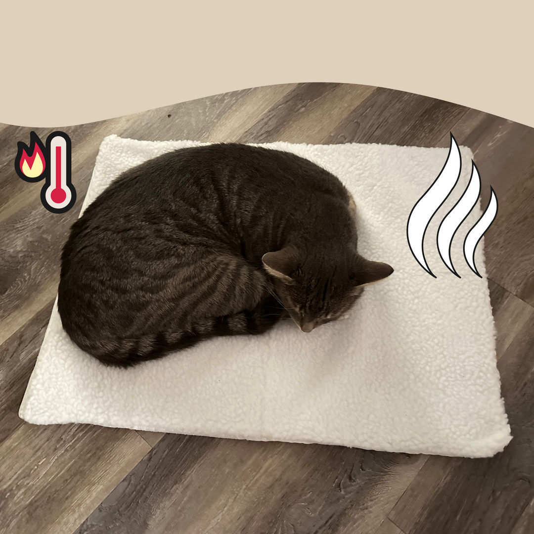 Plush self-warming pet bed, providing insulated comfort for cats. Ideal for chilly evenings.