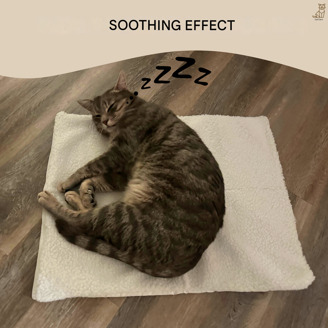 WarmPurr™ self-heating cat mat, a comfortable, no-electricity bed for your pet's cozy relaxation.