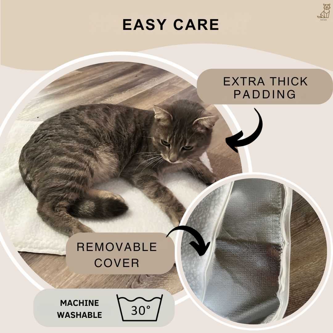 Insulated self-heating cat mat, offering cozy warmth and comfort for your beloved feline companion.