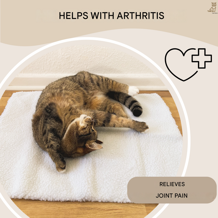 Comfortable self-heating cat mat, perfect for keeping your feline friend warm and happy during cold months.