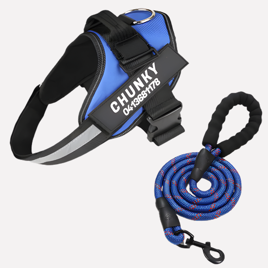 Custom Anti-Pull Dog Harness Vest, personalized for better walks. Features no-pull design & comfortable fit.