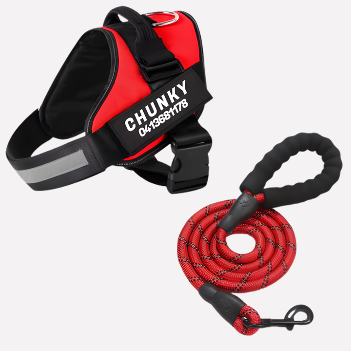 Close-up of custom name tag on an adjustable anti-pull dog harness, showing personalized pet gear.