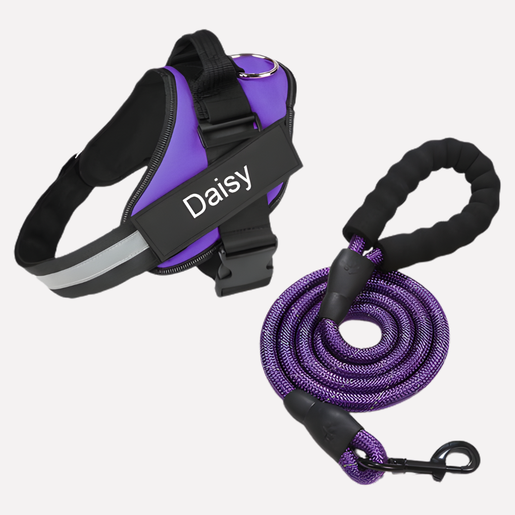 Adjustable no-pull dog harness vest ensuring a comfortable & secure fit for puppy training & daily walks.