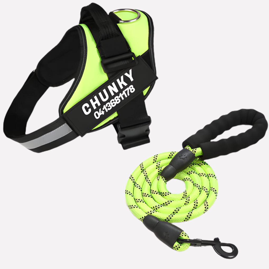Comfortable no-pull dog vest for puppies, a customizable training harness ensuring better, safer walks.