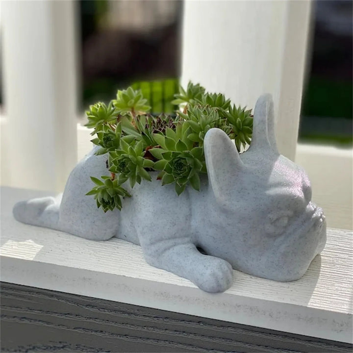 Adorable Buddy dog resin planter, a perfect cute gift for succulent lovers and home decoration.