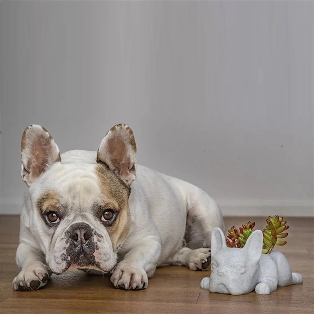 Decorative dog resin succulent pot, a cute animal figure planter for any desktop or home accent.