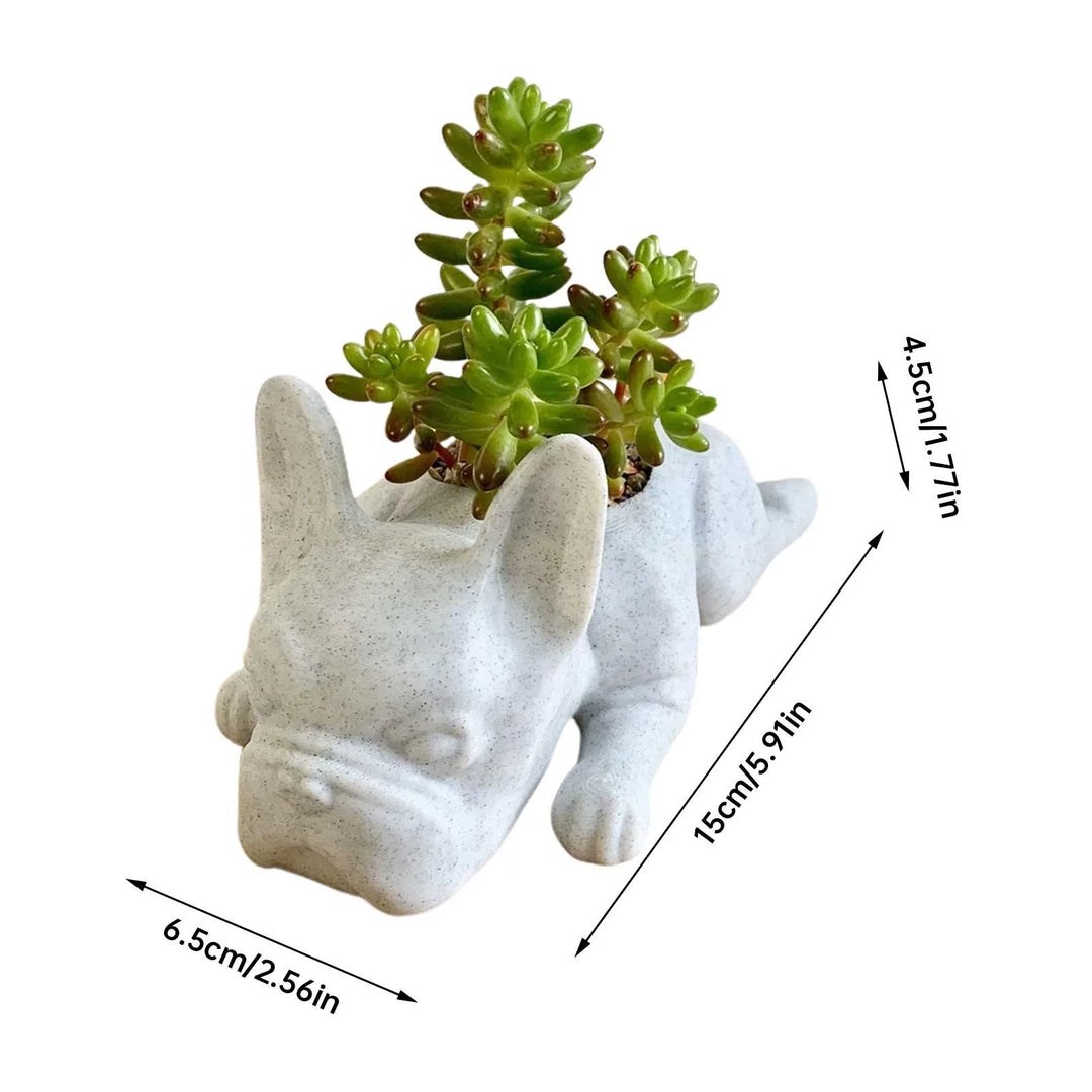 Charming dog resin succulent planter, Buddy puppy decor adds a cute touch to your indoor space.