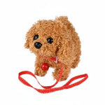 Poodle