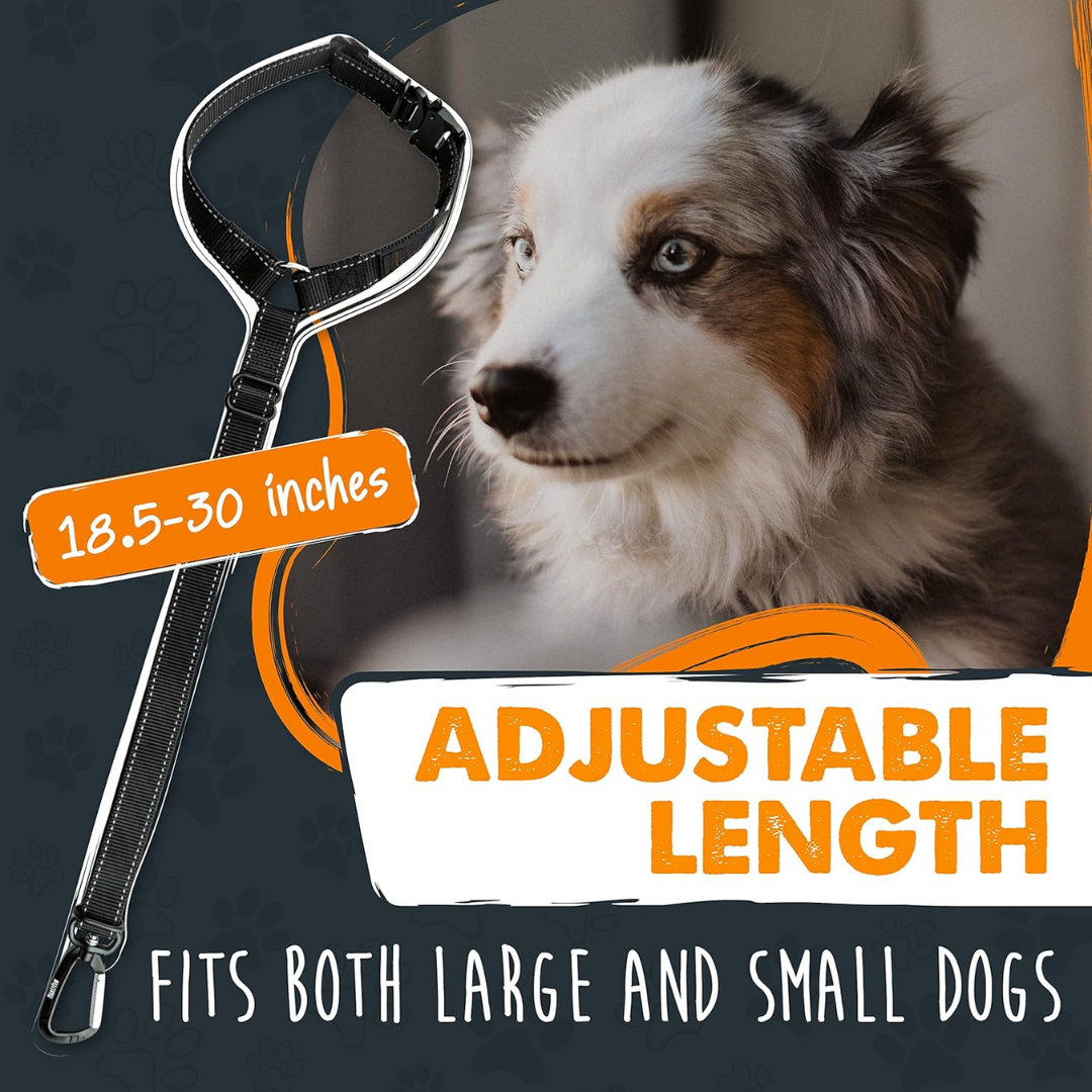 Secure pet travel: universal dog seatbelt, essential animal restraint and car accessory.