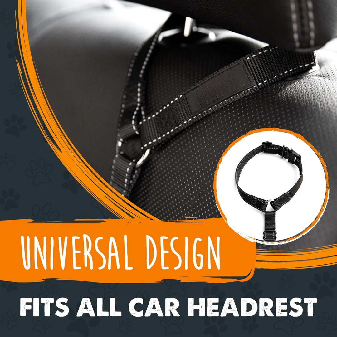 Adjustable dog car safety seatbelt, ensuring pet security and preventing driver distraction.