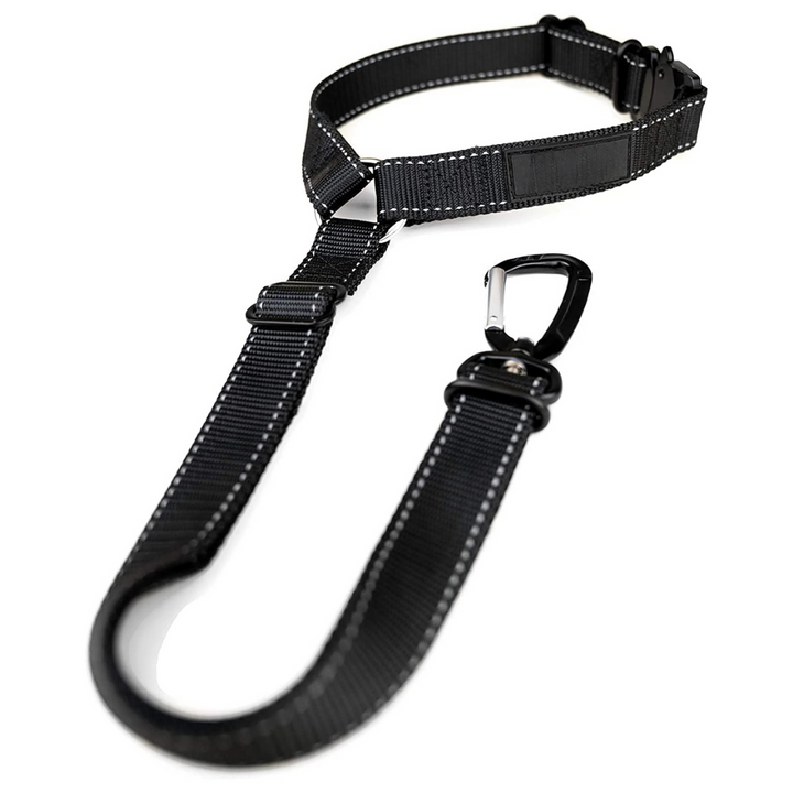 Universal pet safety seatbelt for cars, keeping dogs secure during vehicle journeys, easy install.