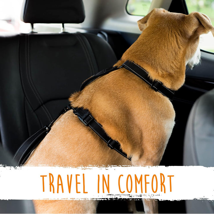 Animal restraint: durable dog seatbelt, universal car accessory for pet safety, reflective stitching.