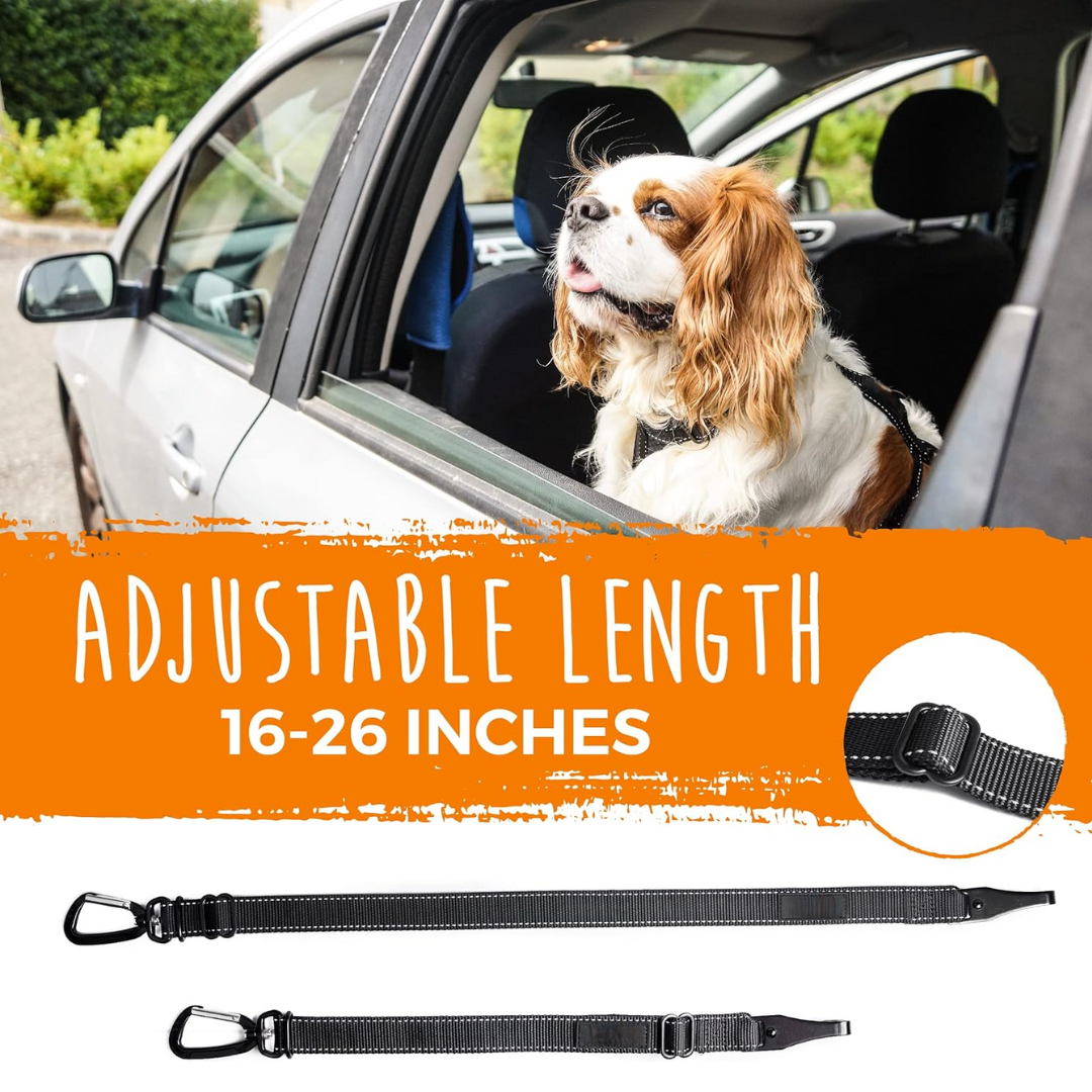 Pet safety: black dog car seatbelt, universal fit for all vehicles, secure animal restraint.