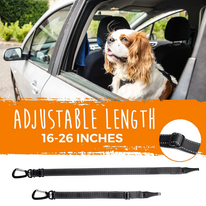 Pet safety: black dog car seatbelt, universal fit for all vehicles, secure animal restraint.