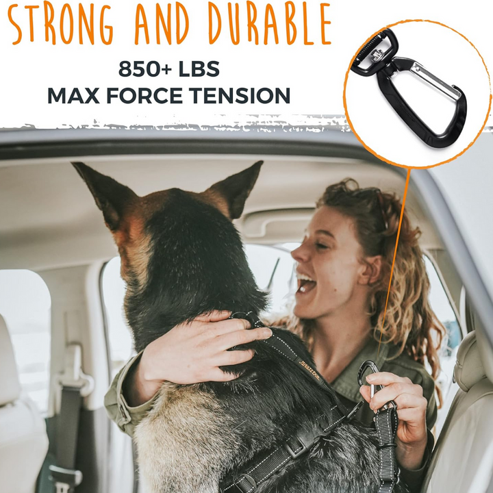 Pet travel accessory: adjustable dog seatbelt, essential for animal safety in moving cars.