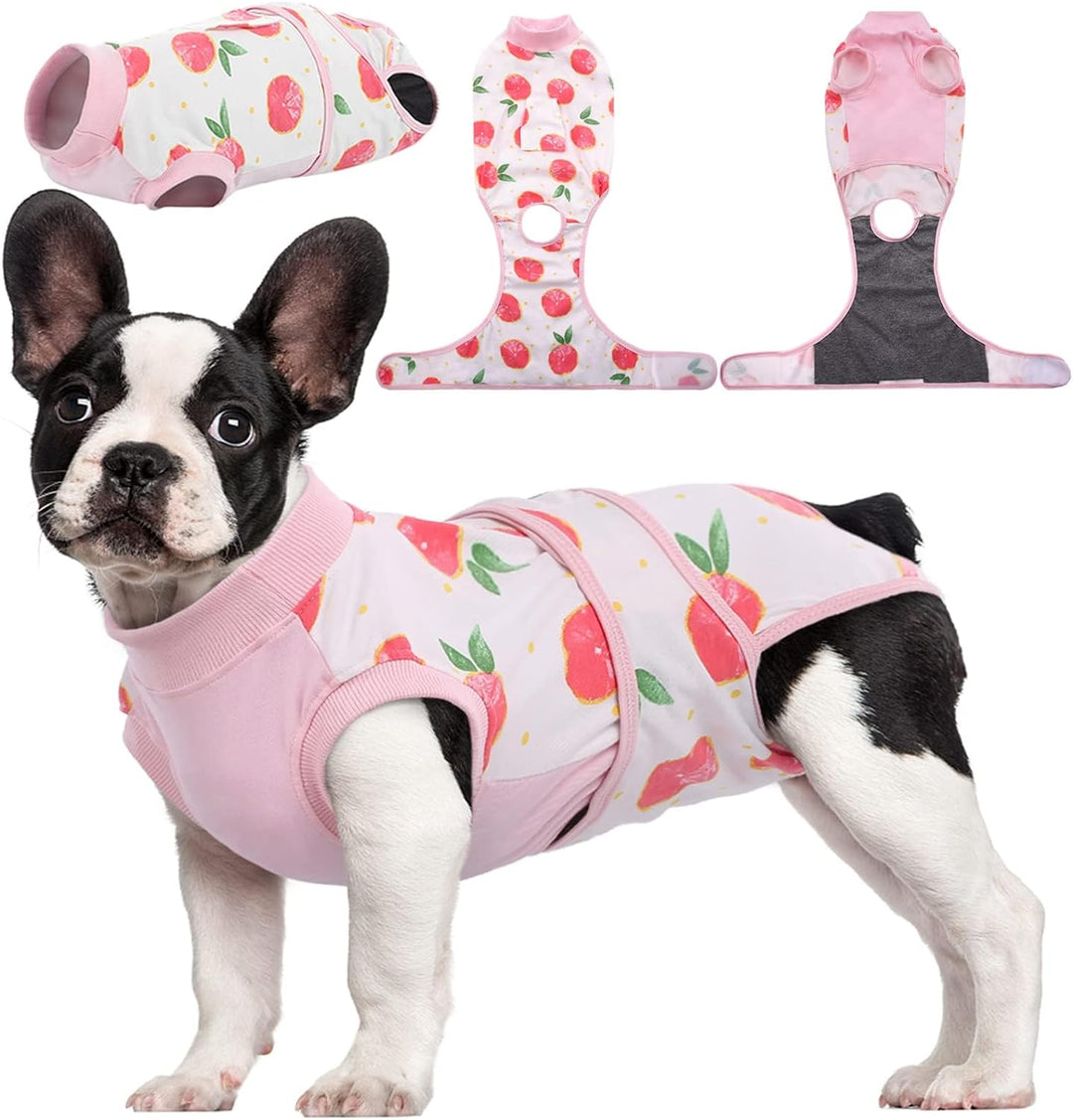 Dog in blue pet post-surgery recovery suit, preventing licking for healing and comfort.