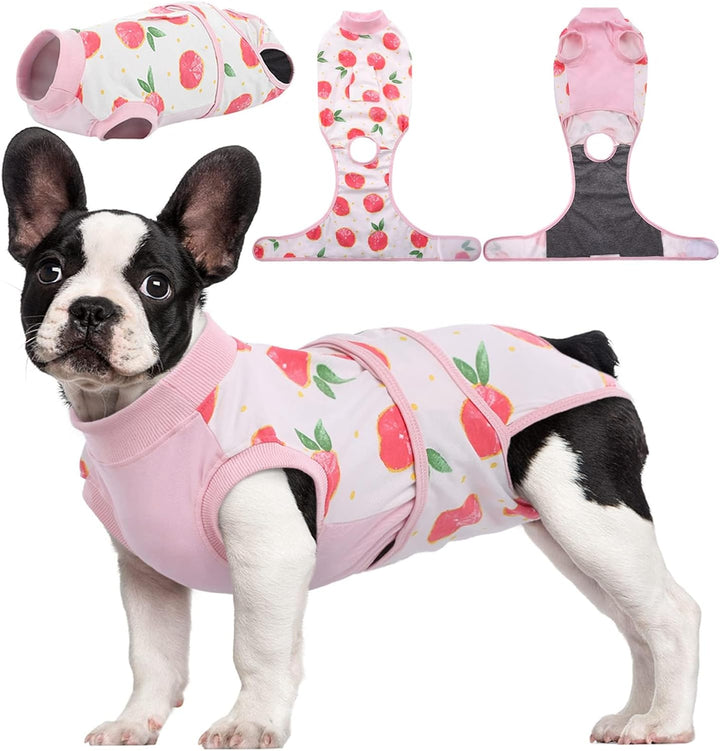 Dog in blue pet post-surgery recovery suit, preventing licking for healing and comfort.