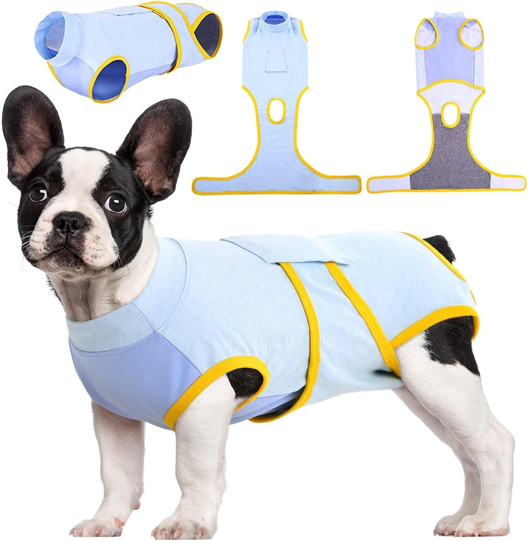 Cat in a yellow recovery suit, looking relaxed and protected after surgery.