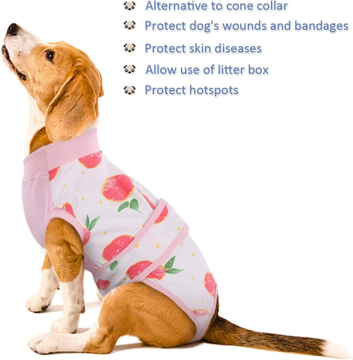 White dog wearing a purple protective recovery suit, preventing access to wounds.