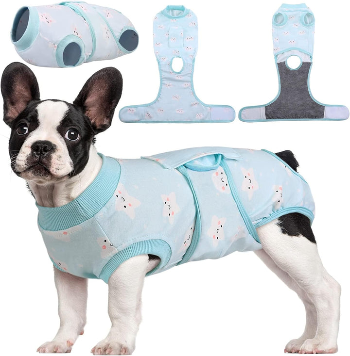 Cat wearing a soft grey post-surgery recovery suit, promoting wound healing.