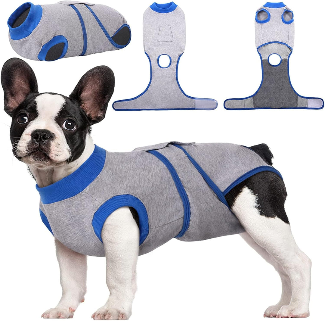 Veterinarian gently adjusting a pet recovery suit on a cat, ensuring secure fit.