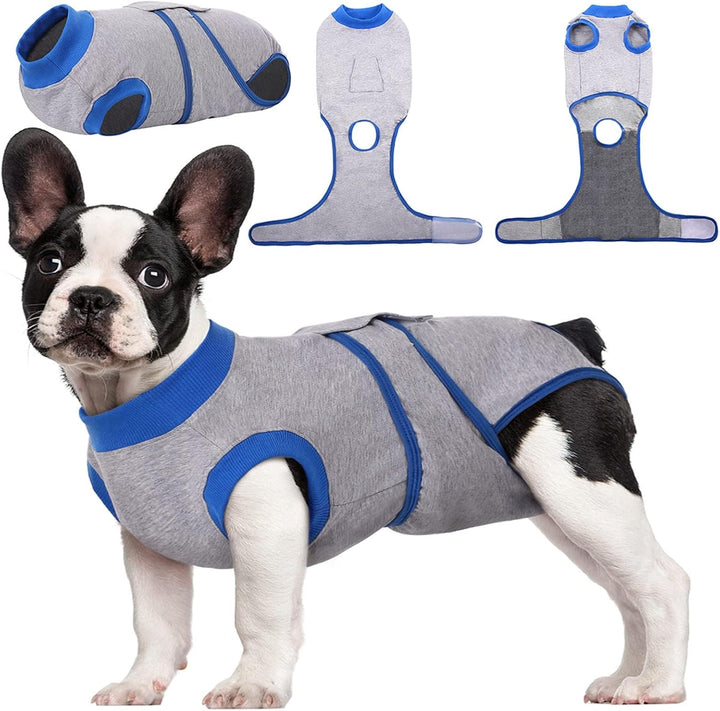 Veterinarian gently adjusting a pet recovery suit on a cat, ensuring secure fit.
