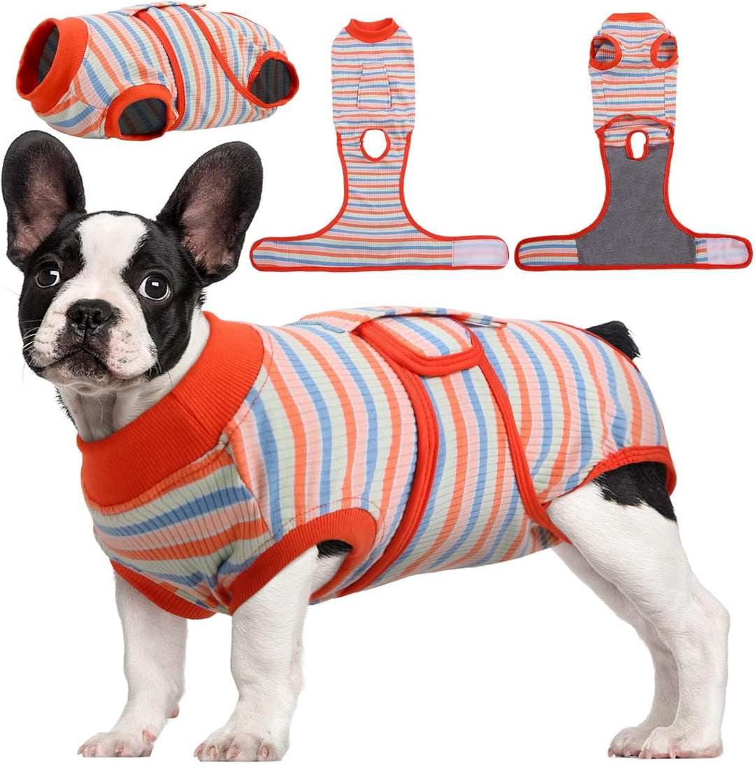 Dog wearing a colorful patterned recovery suit, offering comfort and protection post-op.