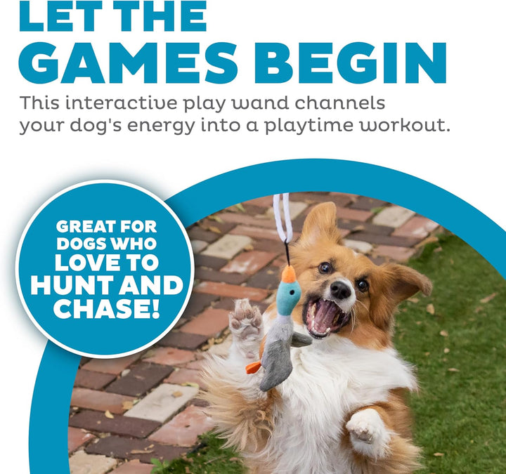 Close-up of a dog vigorously engaging with a durable tail teaser play stick