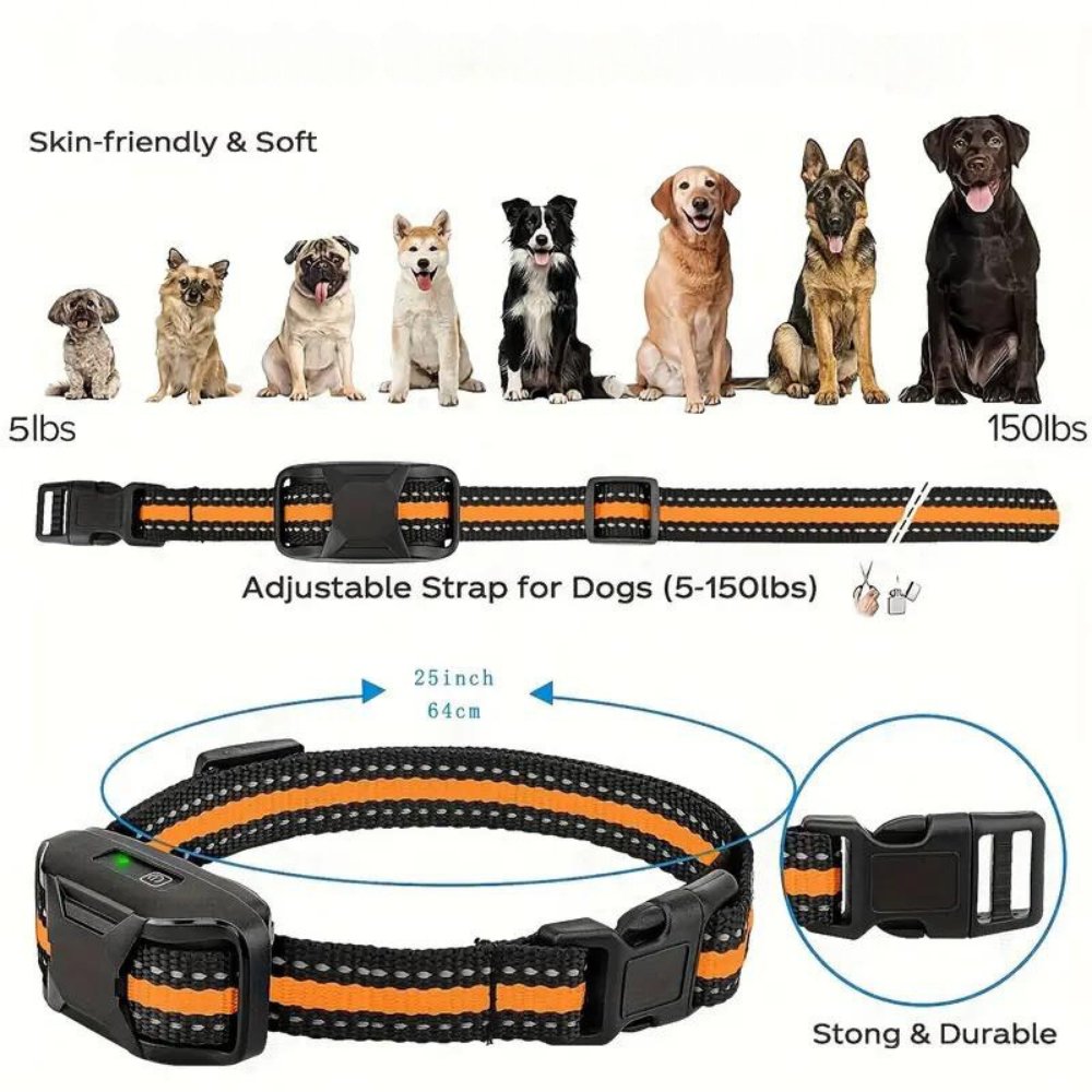 Pet training e-collar kit, includes collar, remote, charger for comprehensive dog obedience.