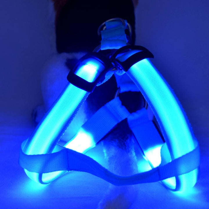 Dog wearing a LED light-up safety dog harness for visible, secure night walks. Perfect pet accessory.