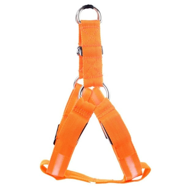 Bright LED dog harness with reflective strips ensures pet safety & high visibility during dark night walks.