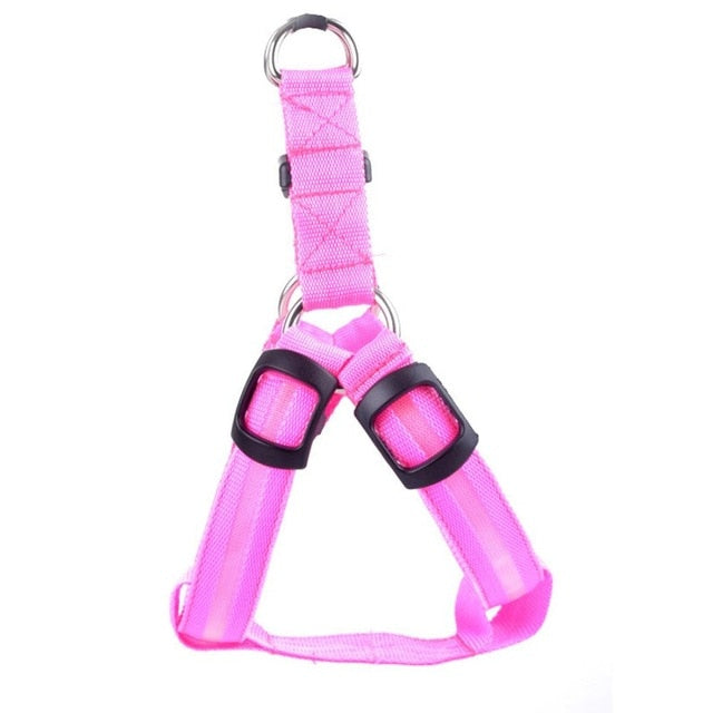 Illuminated dog harness for safe night walking. Glow&Go LED harness ensures your pet is seen in the dark.