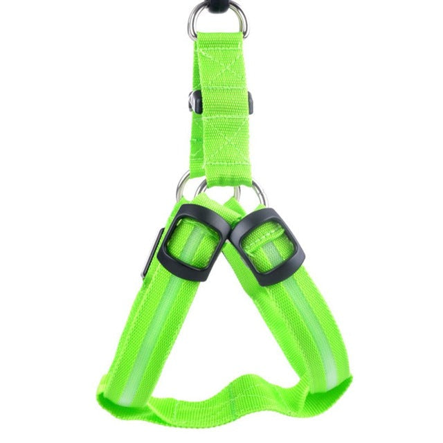 Durable, adjustable LED dog harness with bright lights for enhanced pet safety during evening walks.