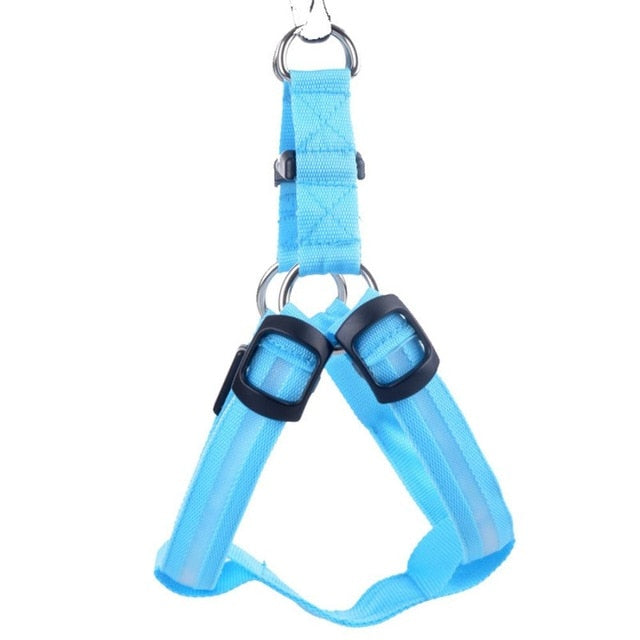 Comfortable puppy LED light-up safety dog harness, ideal for secure & visible night walks for small pets.
