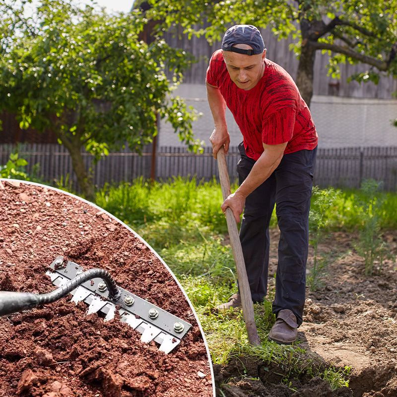 Versatile carbon steel hand rake for gardening, dethatching, and cultivating soil in lawns.
