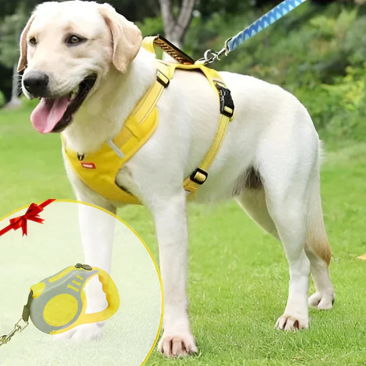 Durable dog no-pull harness with padded comfort and control handle for effective dog walking & training.