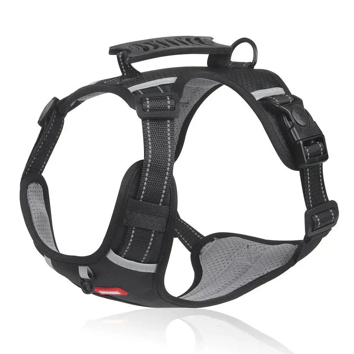 Adjustable dog no-pull training harness, padded for comfort, with a sturdy control handle for walks.