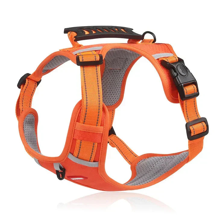 Ergonomic no-pull dog harness featuring padded comfort, adjustable straps, and a control handle for safety.