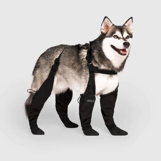 Durable PawShield dog boots for ultimate outdoor paw protection & comfort on walks & adventures.