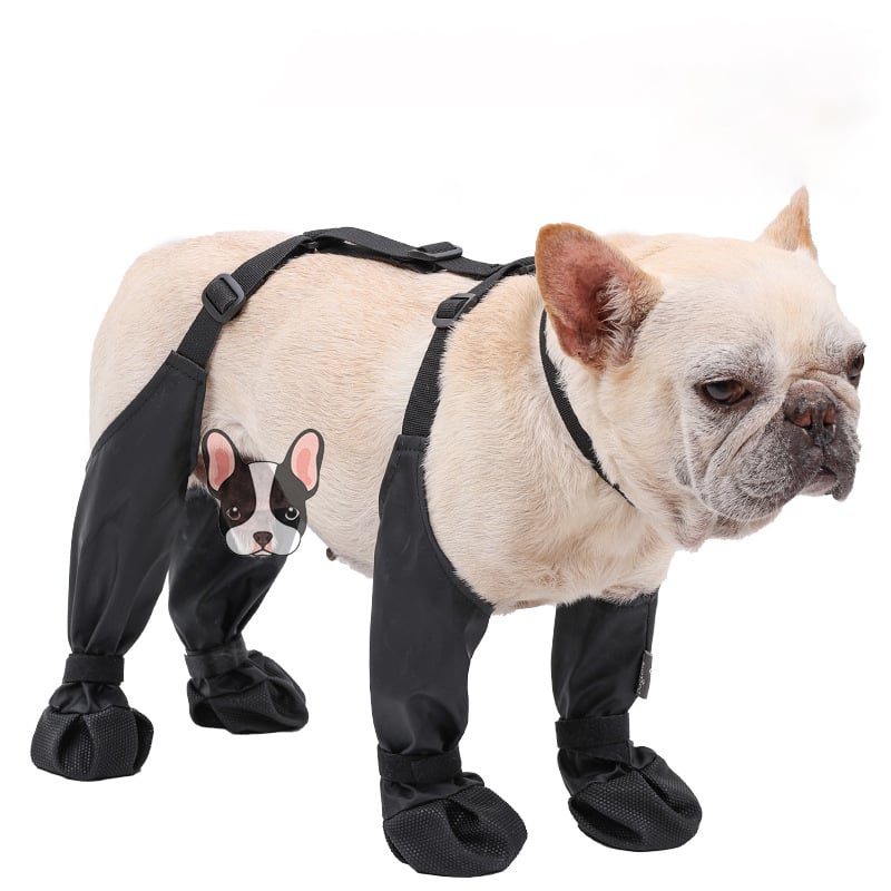 Comfortable PawShield dog boots for reliable paw protection; ideal pet footwear for walking & outdoor gear.