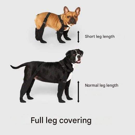 Robust dog walking boots by PawShield, designed for durable paw protection & comfort for all your pet's outdoor gear needs.