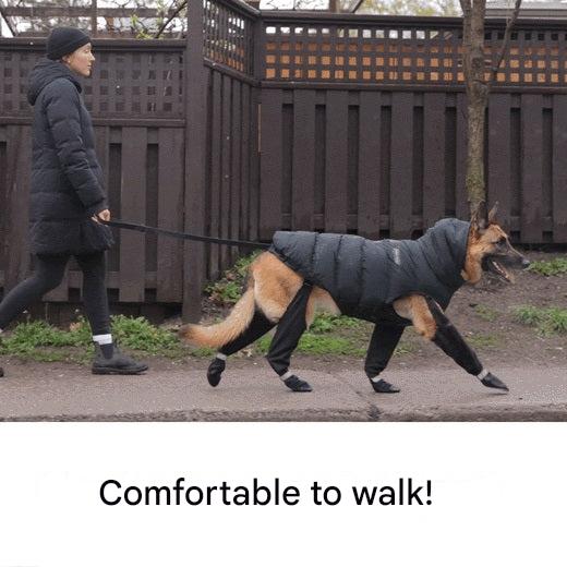 PawShield pet accessories: High-performance dog boots providing ultimate paw protection & durability for any adventure.