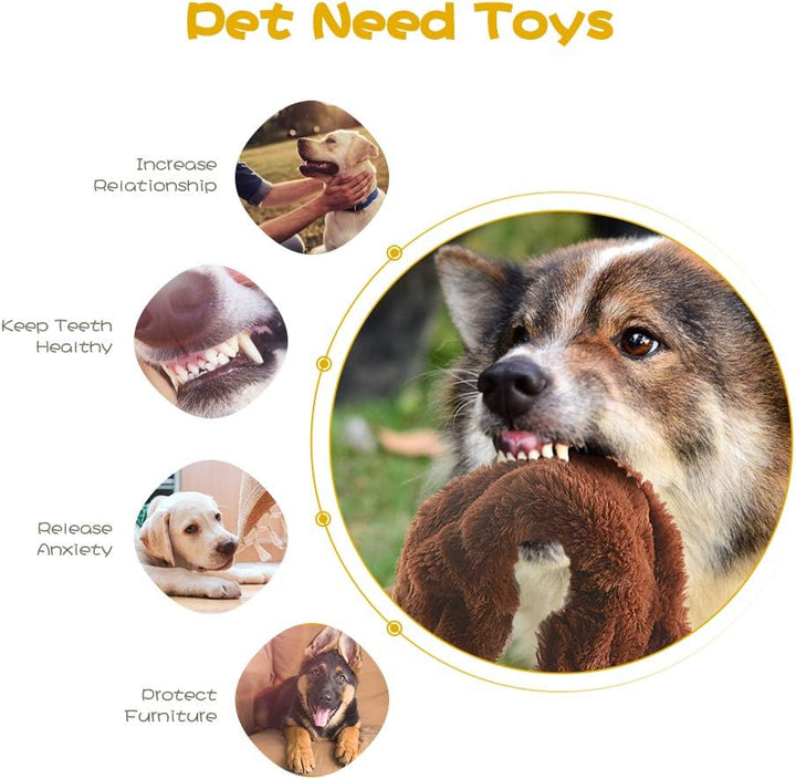 Five pack of durable stuffing-free squeaky dog toys, interactive chew toys for pets