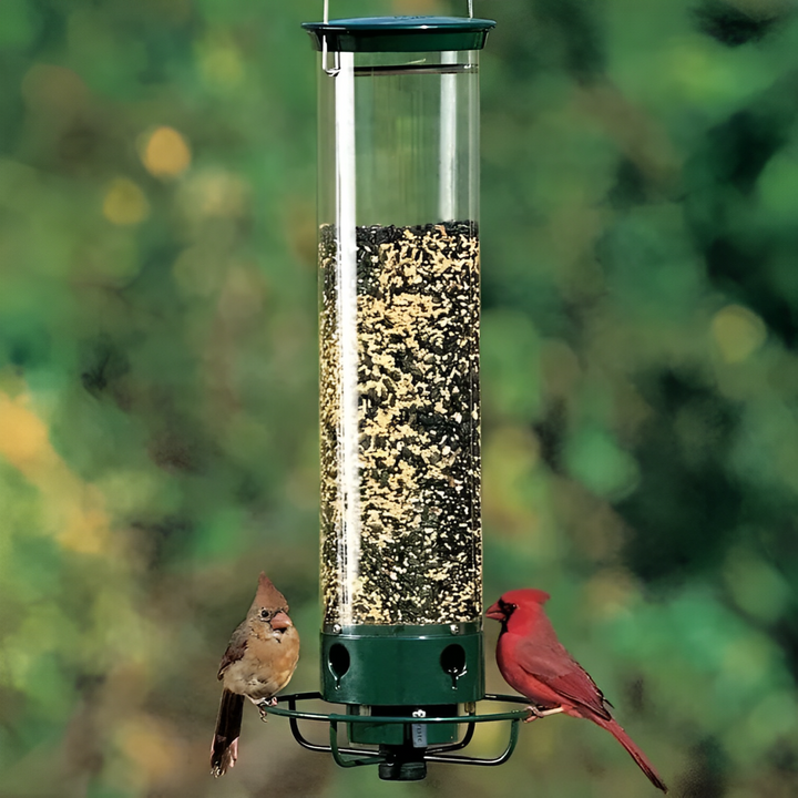 Durable squirrel-proof wild bird feeder, perfect for garden decor & attracting birds.